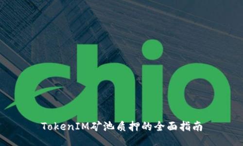 TokenIM矿池质押的全面指南