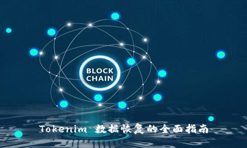 Tokenim 数据恢复的全面指南
