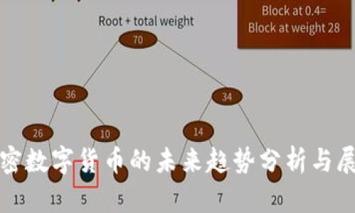 加密数字货币的未来趋势分析与展望