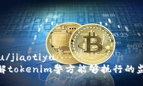 jiaotiyu/jiaotiyu
如何理解tokenim警方能够执行的监管措施