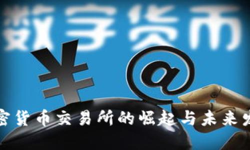 加密货币交易所的崛起与未来发展