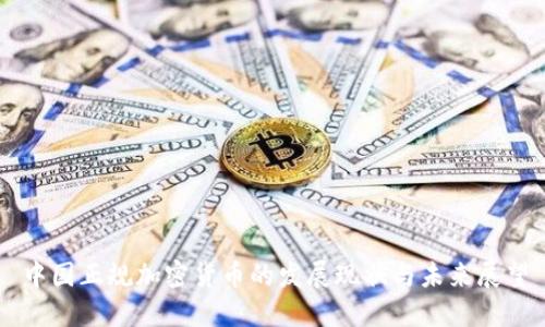 中国正规加密货币的发展现状与未来展望