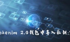 如何在Tokenim 2.0钱包中导入私钥：完整指南