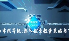 加密货币中线等级：深入探索投资策略与市场价
