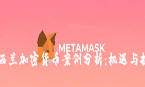 新西兰加密货币案例分析：机遇与挑战