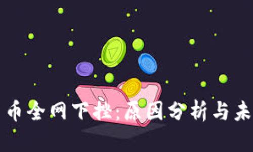 加密货币全网下挫：原因分析与未来展望