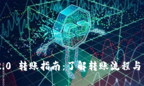 Tokenim 2.0 转账指南：了解转账流程与目的地选择